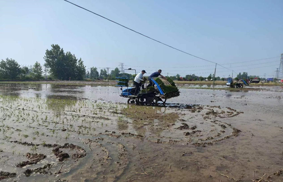 微信圖片_20240520104312 微信圖片_20240520104312